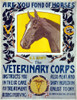 Wwi: Veterinary Corps. /Namerican Recruitment Poster For The Veterinary Corps. Lithograph By Horst Schreck, 1919. Poster Print by Granger Collection - Item # VARGRC0409800