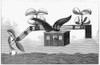 Flying Machine, 1877. /Nwood Engraving, French, 1877. Poster Print by Granger Collection - Item # VARGRC0076761
