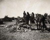 Navajo Ritual, C1904. /Nthree Navajos With Horses Gathered Before A Ceremonial Mound Of Rocks And Vegetation. Photograph By Edward Curtis, C1904. Poster Print by Granger Collection - Item # VARGRC0117251