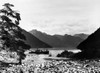 New Zealand: Lake, C1905. /Nview Of Lake Te Anau On The South Island, New Zeland, C1905. Poster Print by Granger Collection - Item # VARGRC0123876