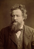 William Morris (1834-1896). /Nenglish Artist And Poet. Photographed C1875. Poster Print by Granger Collection - Item # VARGRC0008148