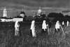 Russia: Peasants, 1909. /Npeasant Women Harvesting Hay. Photograph. Poster Print by Granger Collection - Item # VARGRC0077813