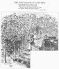 Lake Erie: Vineyard, 1873. /Nharvst At A Vineyard On The Lake Erie Islands. Wood Engraving, American, 1873. Poster Print by Granger Collection - Item # VARGRC0078794