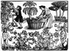 Grape Harvest, 1576. /Nwoodcut From The Title Page Of 'The Grete Herball,' By Peter Treveris, Published At Soutwark, England, 1576. Poster Print by Granger Collection - Item # VARGRC0101702