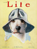 Magazine: Life, 1925. /N'Life' Magazine Cover, 3 September 1925. Poster Print by Granger Collection - Item # VARGRC0095850