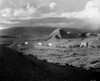 Wagon Train. /Nmotion Picture Still. Poster Print by Granger Collection - Item # VARGRC0012284