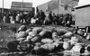 Canada: Prohibition, 1920. /Na Bootleg Liqour Raid In Elk Lake, Ontario, Canada, 1921. Poster Print by Granger Collection - Item # VARGRC0113186