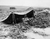 World War Ii: Foxhole. /Nan American Gi In Western Europe Attempting To Bail Out His Foxhole, Fall 1944. Poster Print by Granger Collection - Item # VARGRC0035555