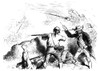 Battle Of Bunker Hill. /Namerican Soldiers Open Fire From The Redoubt On Breed'S Hill In The Battle Of Bunker Hill During The American Revolution, 1775. Poster Print by Granger Collection - Item # VARGRC0088964