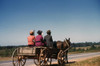 Georgia: Travel, 1941. /Nthree African Americans Traveling To Town In A Horse Drawn Carriage On A Saturday Afternoon In Greene County, Georgia. Photograph By Jack Delano, May 1941. Poster Print by Granger Collection - Item # VARGRC0123007