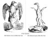 Cartoon: Mexican War, 1847. /N'Plucked.' An American Cartoon On The Outcome Of The War With Mexico. Cartoon, 1847. Poster Print by Granger Collection - Item # VARGRC0004080
