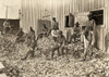 Hine: Child Labor, 1910. /Nyoung Workers At Ross' Cannery In Seaford, Delaware. Photograph By Lewis Hine, June 1910. Poster Print by Granger Collection - Item # VARGRC0132599