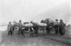 Alaska: Dyea Point, C1897. /Na Group Of Gold Prospectors With Their Burro Pack Train, Dyea Point, Alaska. Photograph, C1897. Poster Print by Granger Collection - Item # VARGRC0116192