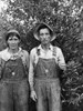 Berry Pickers, 1940. /Nberry Pickers From Arkansas Working In Berrien County, Michigan. Photographed By John Vachon, 1940. Poster Print by Granger Collection - Item # VARGRC0014355