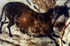 Lascaux: Horse. /N'Chinese Horse From The Cave Of Lascaux, Montignac, France. Poster Print by Granger Collection - Item # VARGRC0044113
