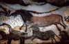 Cave Art. /Nrunning Horses From Cave Of Lascaux, Montignac, France. Poster Print by Granger Collection - Item # VARGRC0023509