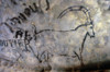 Cave Art: Ibex. /Nibex Painted In Black Outline On The Grand Ceiling Of The Rouffignac Cave, Dordogne, France, C11,000 B.C. (Graffiti Left By A Visitor In 1909 Is Visible At Lower Left). Poster Print by Granger Collection - Item # VARGRC0167855