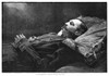 Alexander Ii (1818-1881). /Nczar Of Russia, 1855-1881. Alexander Ii As Seen At His Funeral After His Assassination, 1881. Contemporary English Engraving. Poster Print by Granger Collection - Item # VARGRC0266055