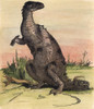 Iguanodon. /Na Restoration Of Gideon Mantell'S Iguanodon. Wood Engraving, English, 19Th Century. Poster Print by Granger Collection - Item # VARGRC0047280