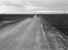 California: Road, 1939. /Na Country Road Between Potato Fields In Kern County, California. Photograph By Dorothea Lange, February 1939. Poster Print by Granger Collection - Item # VARGRC0108397