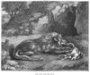Lion. /Nthe Lion Over His Prey. Wood Engraving, English, 19Th Century. Poster Print by Granger Collection - Item # VARGRC0082078