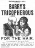 Hair Restorative, 1887. /Namerican Advertisement. Poster Print by Granger Collection - Item # VARGRC0002999