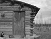 Idaho: Log Cabin, 1939. /Na Log Cabin On Farm In Priest River Peninsula, Bonner County, Idaho. Photograph By Dorothea Lange, October 1939. Poster Print by Granger Collection - Item # VARGRC0123724