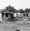 Shanty Town, 1939. /None Of The Several Large Shacktown Communities Around Yakima, Washington State. Photograph By Dorothea Lange, August 1939. Poster Print by Granger Collection - Item # VARGRC0123719