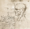 Anatomical Drawing by Leonardo da Vinci Poster Print by Science Source - Item # VARSCIJC3351