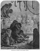 Dor_: London, 1872. /N'Zoological Gardens - The Monkey House.' Wood Engraving After Gustave Dor_, From The Series 'London: A Pilgrimage,' 1872. Poster Print by Granger Collection - Item # VARGRC0354718