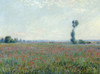 Monet: Poppy Field, 1881. /Noil On Canvas, Claude Monet, 1881. Poster Print by Granger Collection - Item # VARGRC0433694