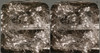 Turkey: Silkworms, C1913. /Nhatching Silk Cocoons On Mulberry Branches In Antioch, Turkey. Stereograph, C1913. Poster Print by Granger Collection - Item # VARGRC0324471