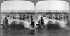 Coney Island: Beach, C1903. /Nbathers In The Breaking Waves At Coney Island, Brooklyn, New York. Stereograph, C1903. Poster Print by Granger Collection - Item # VARGRC0106216