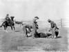 Cowboys, 1888. /Nbranding A Calf At A South Dakota Ranch. Photographed By J.C.H. Grabill In 1888. Poster Print by Granger Collection - Item # VARGRC0002589