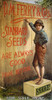Seed Company Poster, C1890. /Namerican Seed Company Lithograph Poster, C1890, Seemingly Inspired By The Fence White-Washing Episode In "Tom Sawyer." Poster Print by Granger Collection - Item # VARGRC0009902