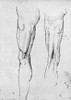 Leonardo: Anatomy. /Nsuperficial Muscles Of The Thigh. Drawing, C1504-1506, By Leonardo Da Vinci. Poster Print by Granger Collection - Item # VARGRC0027939