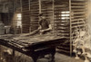 Hine: Flower Factory, 1917. /Na 15-Year-Old Boy Sorting Cycas Leaves At The Boston Floral Supply Company In Boston, Massachusetts. Photograph By Lewis Wickes Hine, January 1917. Poster Print by Granger Collection - Item # VARGRC0324041