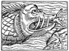 Sea Monster. /Nmedieval Woodcut. Poster Print by Granger Collection - Item # VARGRC0323663