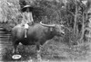 Philippines, C1900. /Na Filipino Farmer Riding A Carabao In The Philippines. Photograph, C1900. Poster Print by Granger Collection - Item # VARGRC0352146