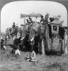 Delhi: Elephants./Ndecorated State Elephants Of Hh Maharaja Scindia Madhavrao Ii Scindia Of Gwalior Stand In A Field, Durbar, Delhi, India. Stereograph, C1903. Poster Print by Granger Collection - Item # VARGRC0113215