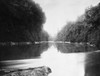 New Zealand, C1920. /Nthe Wanganui River In New Zealand. Photograph, C1920. Poster Print by Granger Collection - Item # VARGRC0351699