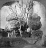 China: Farm, C1905. /Nmassive Straw Stacks On A Farm In Rural China. Stereograph, C1905. Poster Print by Granger Collection - Item # VARGRC0115973