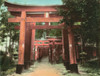 Japan: Torii, C1890. /Na Path Of Torii In Japan. Hand-Colored Photograph, C1890. Poster Print by Granger Collection - Item # VARGRC0352665