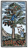Education: Speller, 1710. /Nwoodcut Frontispiece From An American Speller Of 1710 Showing The Diligent Student Catching Fruits Of Knowledge, Picked For Him By His Teacher. Poster Print by Granger Collection - Item # VARGRC0065368