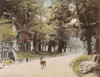 Japan: Temple, C1890. /Nentrance To The Kasuga Grand Shrine At Nara, Japan. Hand Colored Photograph, C1890. Poster Print by Granger Collection - Item # VARGRC0352661