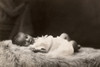 Baby, C1900. /Ncarte-De-Visite Photograph, Vienna, C1900. Poster Print by Granger Collection - Item # VARGRC0093856