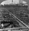 Beef Industry, C1926. /Ncattle In The Union Stock Yards In Chicago, Illinois. Stereograph, C1926. Poster Print by Granger Collection - Item # VARGRC0124309