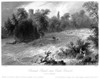 Ireland: Castleconnell. /Nview Of The Rapids On The River Shannon At Castleconnell, County Limerick, Ireland. Steel Engraving, English, C1840, After William Henry Bartlett. Poster Print by Granger Collection - Item # VARGRC0095290