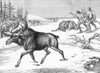 Moose Hunting, 1854. /Nwood Engraving, English, 1854. Poster Print by Granger Collection - Item # VARGRC0096241