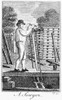 Colonial Sawyer. /Na Colonial American Sawyer. Line Engraving, Late 18Th Century. Poster Print by Granger Collection - Item # VARGRC0005701